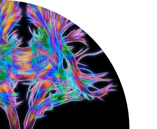 IMG-Merge-Web-VNA-02-1104x552